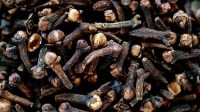 Attachment for Digunakan Turun-temurun, Ini 5 Cara Memanfaatkan Cengkih sebagai Obat