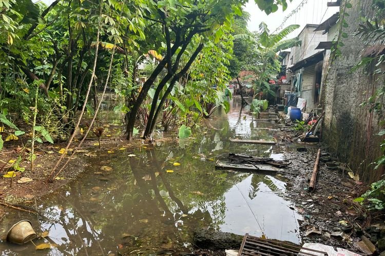 Kondisi Terkini Tahura Pancoran Mas Depok: Pagar Rusak dan Jalan Tergenang Air