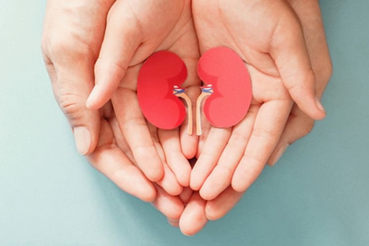 10 Kebiasaan Sepele yang Dapat Merusak Ginjal: Waspadai!