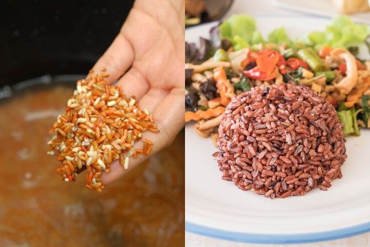 Banyak yang Salah Takaran, Begini Cara Memasak Nasi Merah dengan Rice Cooker Agar Tidak Keras dan Bisa Pulen