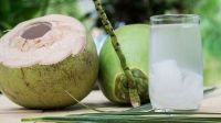 5 Orang Harus Hindari Minum Air Kelapa Muda, Cek Daftar Ini! 5 Orang Harus Hindari Minum Air Kelapa Muda, Cek Daftar Ini!