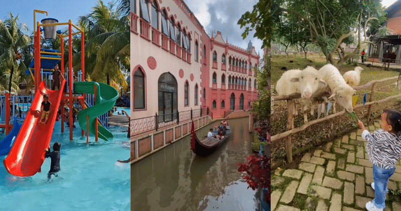 10 Destinasi Keluarga di Bogor: Tempat Bermain yang Menyenangkan untuk Liburan!