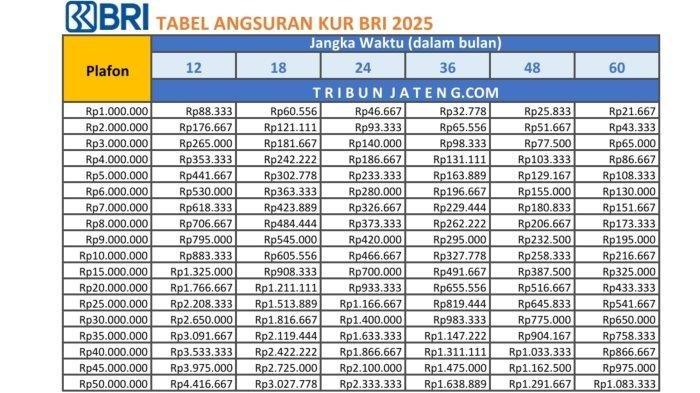 Ingin Jalankan Usaha tapi Kurang Modal? Coba KUR BRI 2025: Tanpa Jaminan & Bunga Rendah