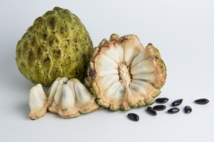 Konsumsi Srikaya: Solusi untuk 6 Penyakit Ini!