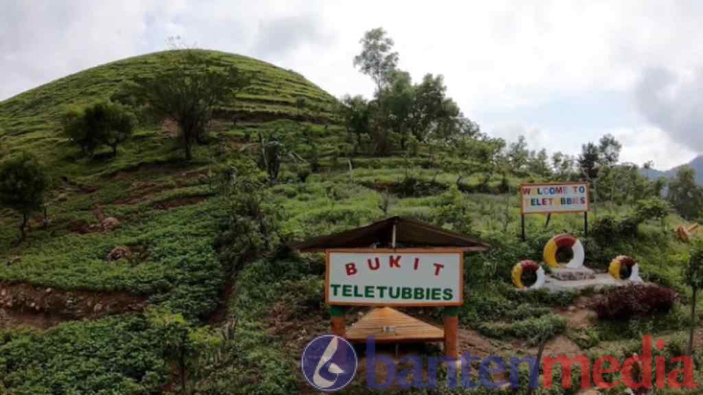 Menjelajahi Keindahan Bukit Teletubbies Merak: Pesona Alam Yang Memikat Di Cilegon, Banten