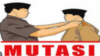 Puluhan Guru PPPK Diangkat ASN Pilih Cerai Massal