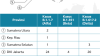 Varian Baru COVID-19 Stratus Mendominasi Indonesia