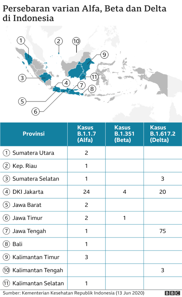 Varian Baru COVID-19 Stratus Mendominasi Indonesia