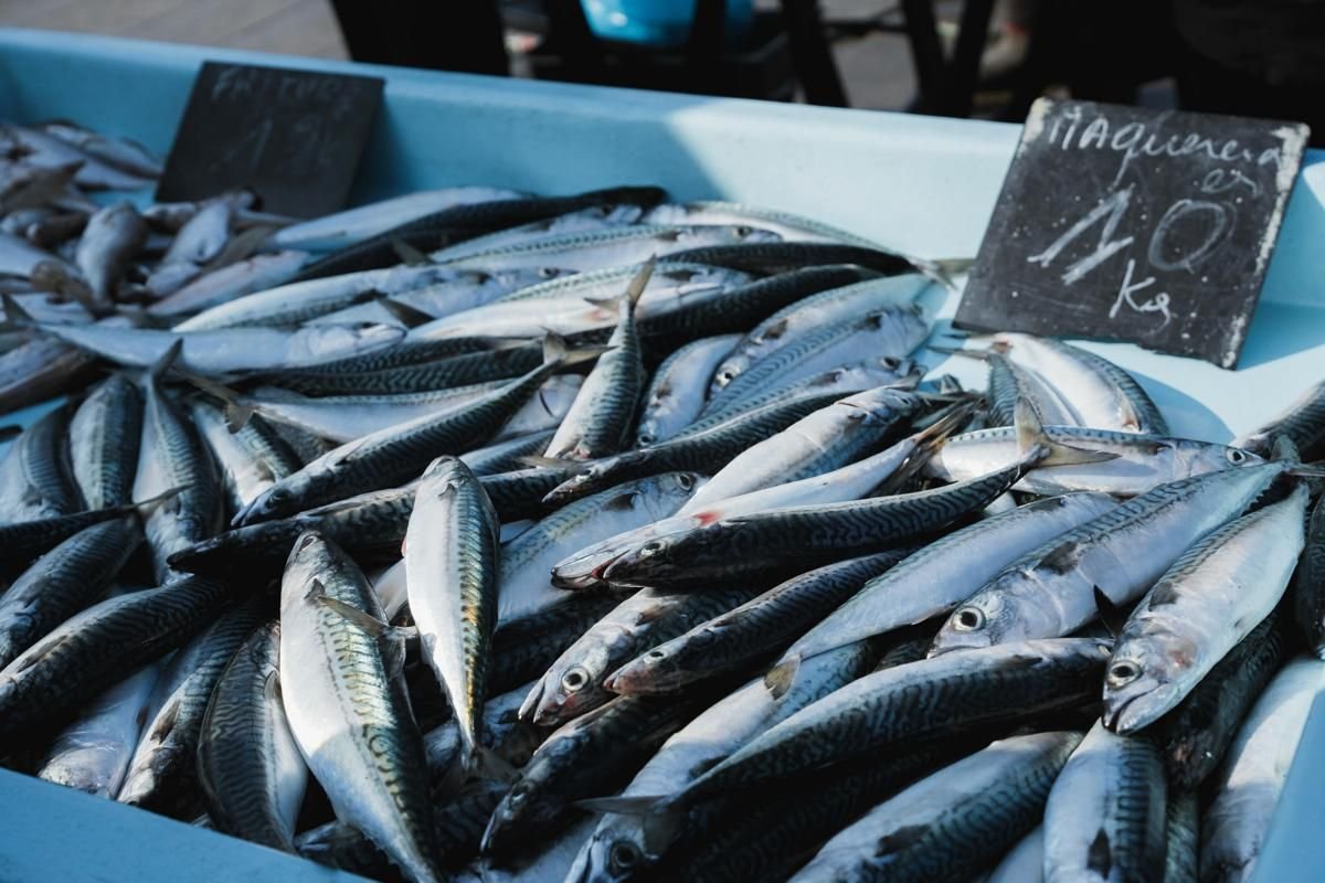 5 Makanan Peningkat Kualitas Sperma, Cegah Kesuburan!
