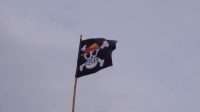 Anggota Gerindra dan NasDem Bicara Bendera One Piece