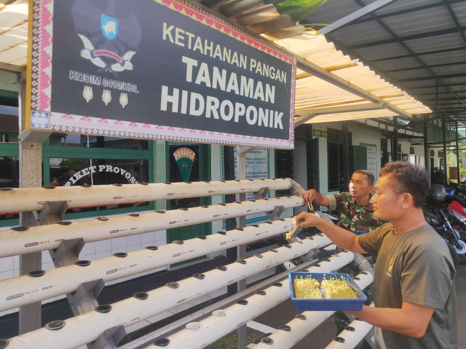 Dukung Ketahanan Pangan, KS Group dan Pesantren Kembangkan Pertanian Hidroponik