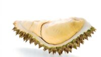 Mengapa Durian Berbau Tajam? Ini Jawaban Ilmiahnya!