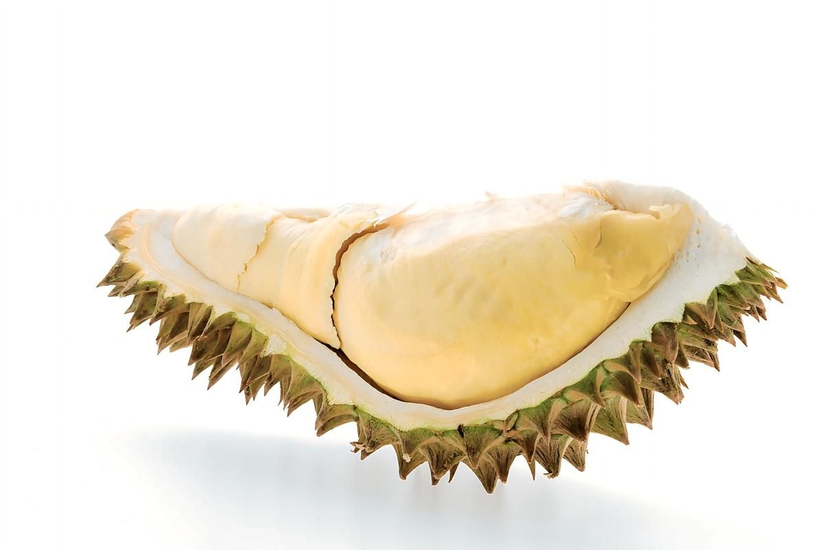 Mengapa Durian Berbau Tajam? Ini Jawaban Ilmiahnya!