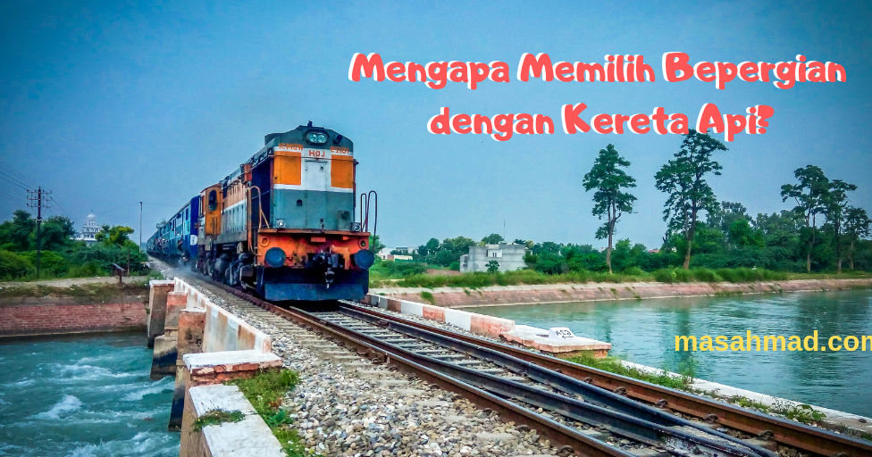 Mengapa Air Akuarium Berbusa? Bahaya untuk Ikan!