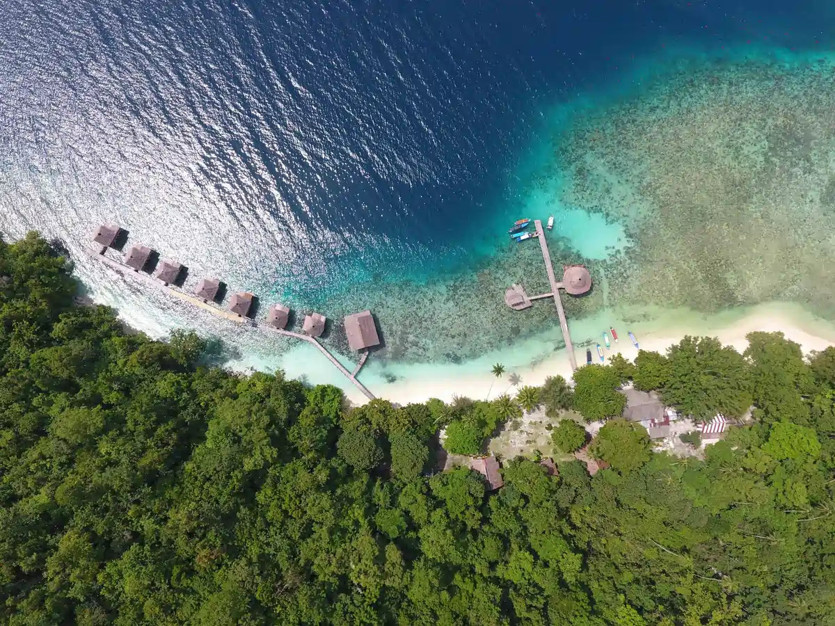 Taman Nasional Manusela, Permata Biodiversitas Di Jantung Maluku
