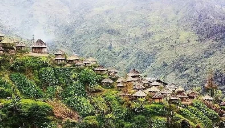 Wisata Lembah Baliem Papua Pegunungan