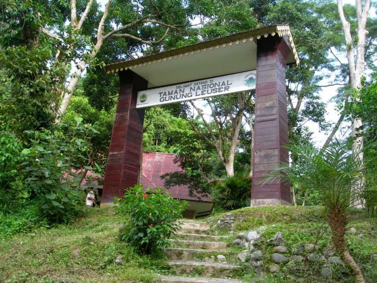 Taman Nasional Gunung Leuser (Sumatera Utara/Aceh)