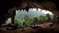 Taman Nasional Kayan Mentarang: Jantung Borneo Yang Memanggil Jiwa Petualang