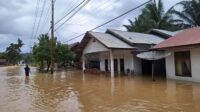 4 Unit Genset Banten Dikirim ke Aceh Bantu Perbaiki Listrik Banjir dan Longsor
