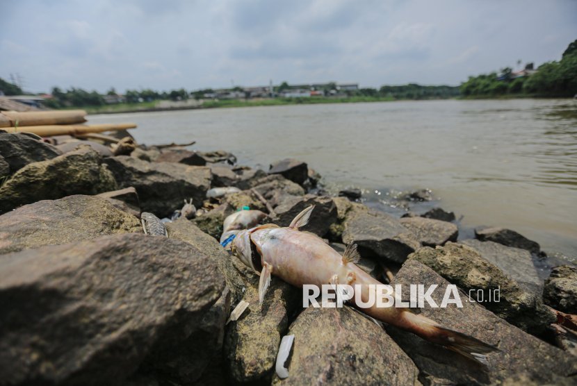 Yakin Kurangi Polusi, BPBD Tangerang Tuangkan Ecoenzym ke Sungai Cisadane