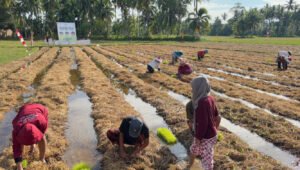 Pertamina Patra Niaga Hadirkan Sistem Inovatif Kelola Limbah