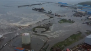 Google mengklaim teknologi AI-nya disalin secara luas: Peringatan perang model AI global di tengah persaingan monetisasi dan keamanan data