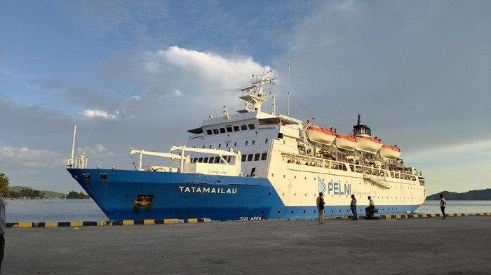 Jadwal Kapal Pelni Dobo-Merauke April 2026: KM Tatamailau dan KM Sirimau