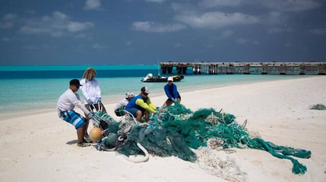 5 Fakta Menarik Papahānaumokuākea, Surga Laut Terpencil di Pasifik