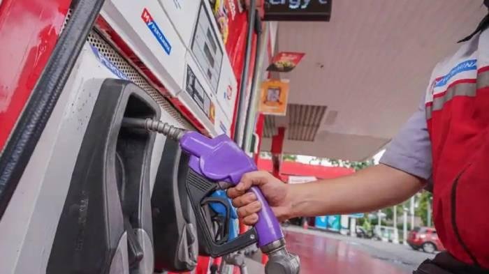 Usulan Hentikan Program MBG Akibat Perang Iran, Ini Prof Telisa Aulia