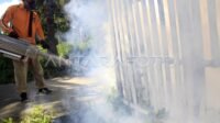 Cegah DBD dengan Fogging di Krangkeng