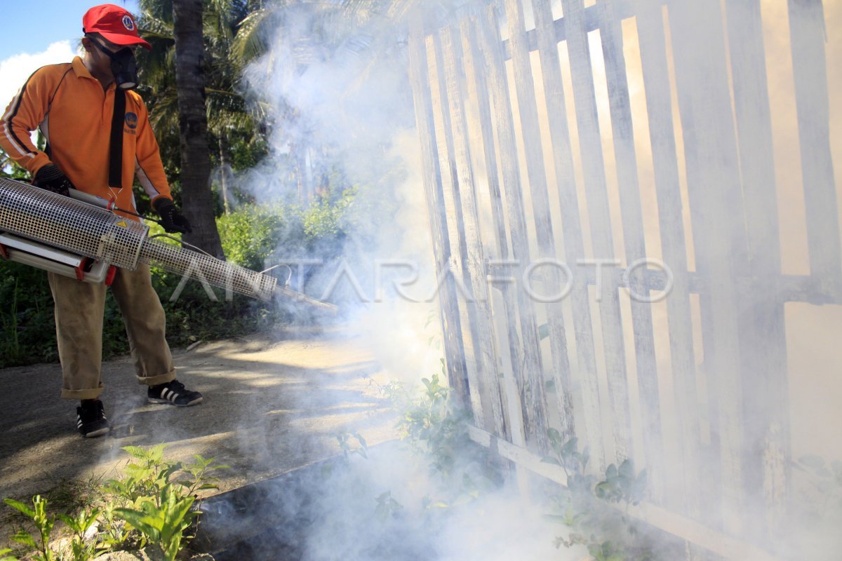 Cegah DBD dengan Fogging di Krangkeng