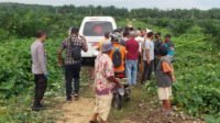 Pekerja Kebun Sawit Ditemukan Meninggal di Kamar, Diduga Sakit Akibat Obat