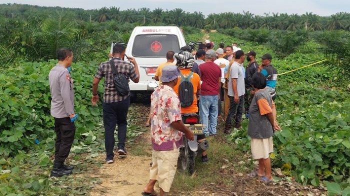 Pekerja Kebun Sawit Ditemukan Meninggal di Kamar, Diduga Sakit Akibat Obat